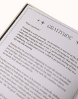 Open Gratitude Journal with a page titled 'Gratitude' on a white background