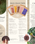 Herbal Cacao Brochure (50x)