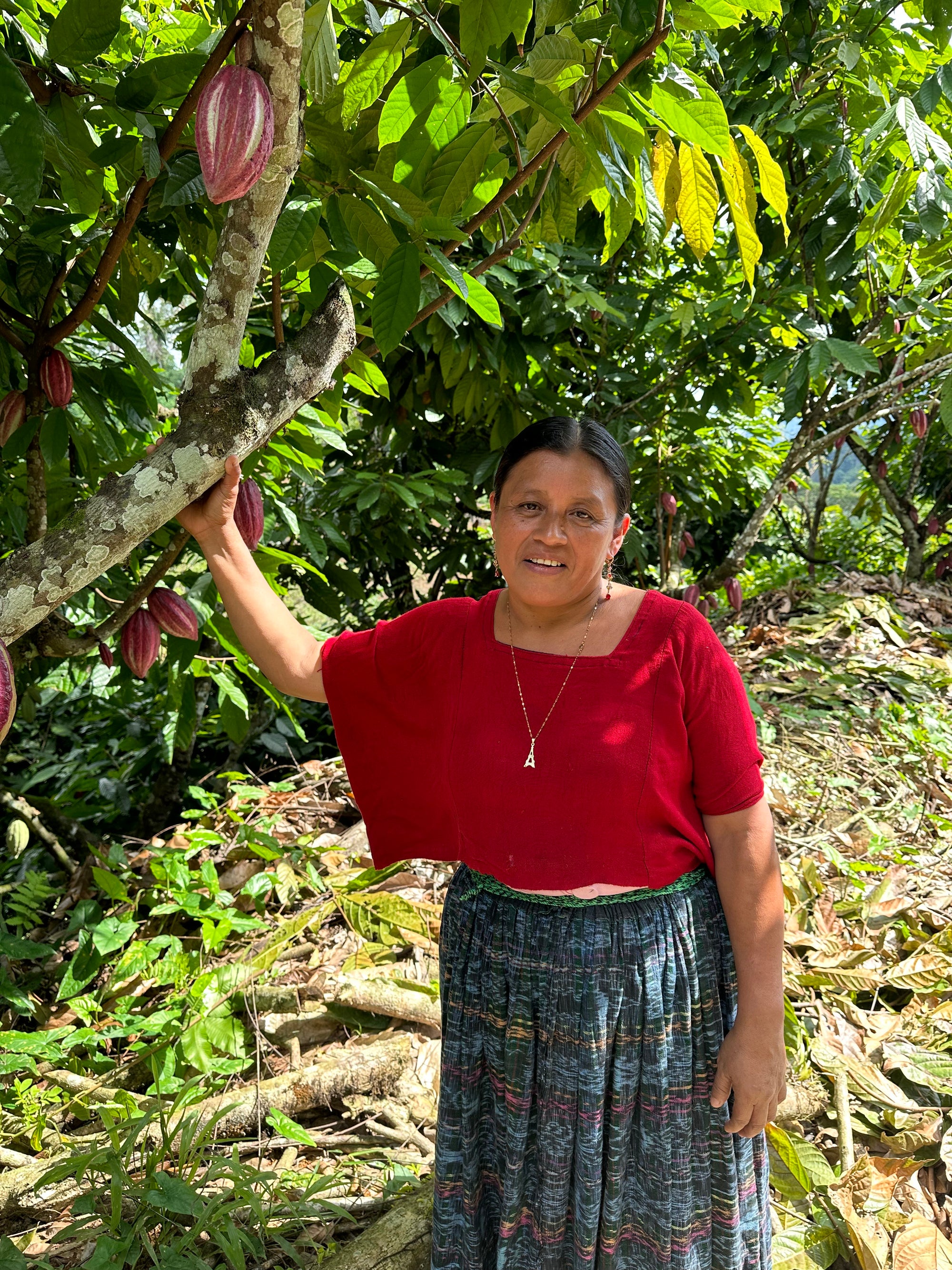Women farmer cacao tree Guatemala