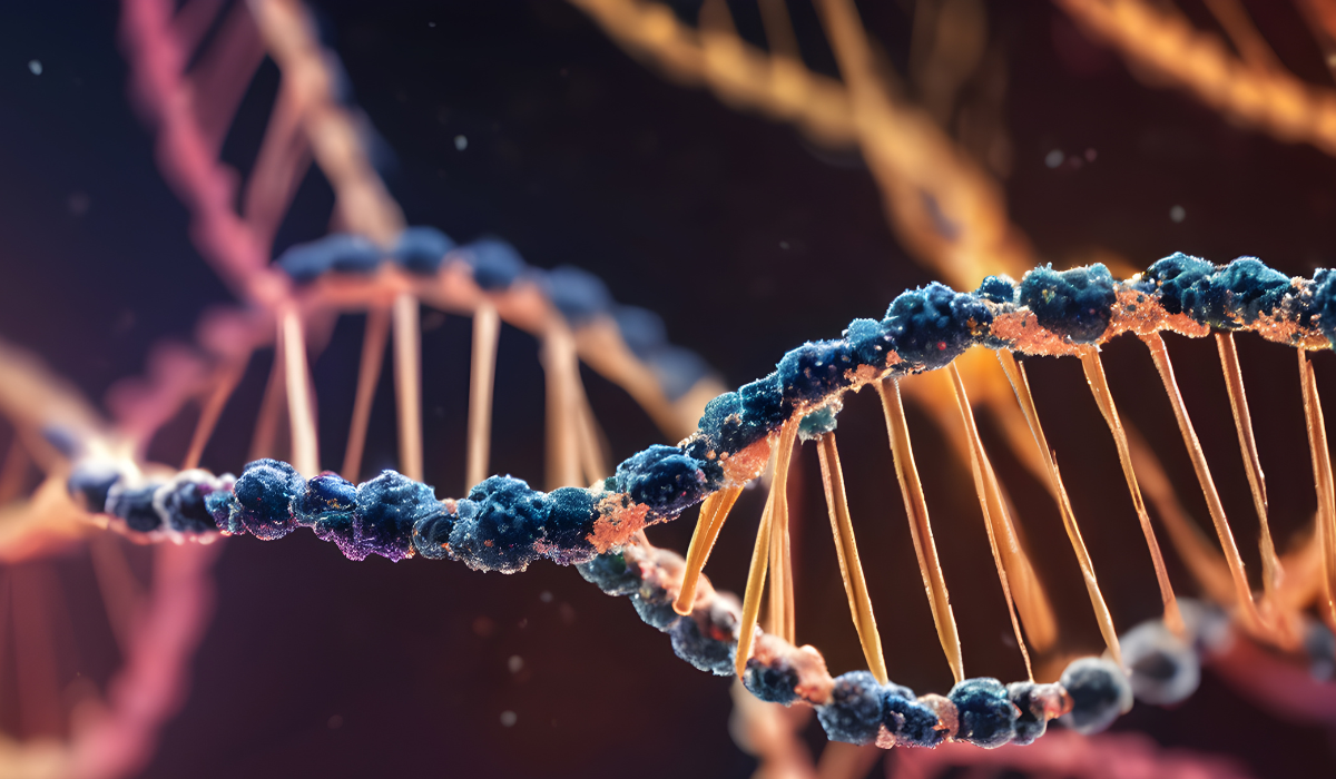 Ceremonial Cacao for Heart-Centered Biohacking