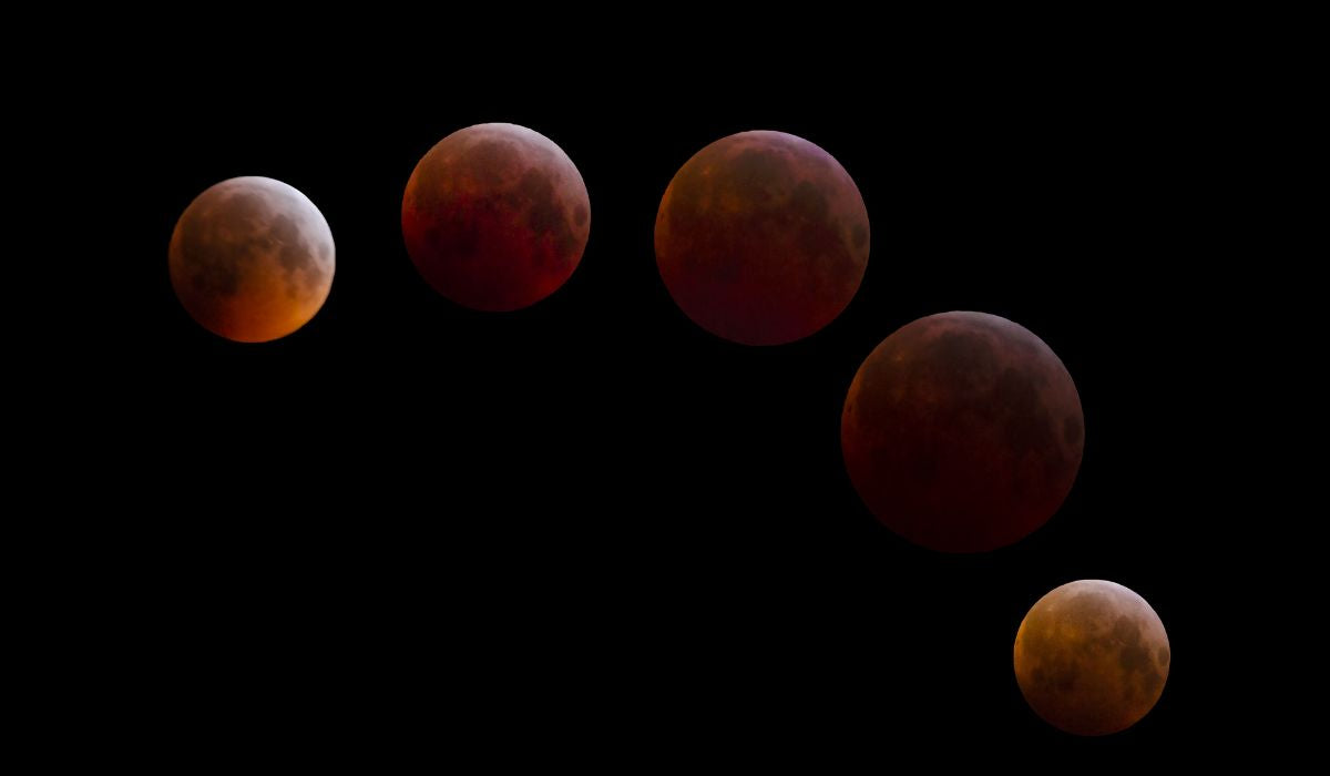 Moon Blood Mysteries: Remembering Our Rhythmic Connection to Nature