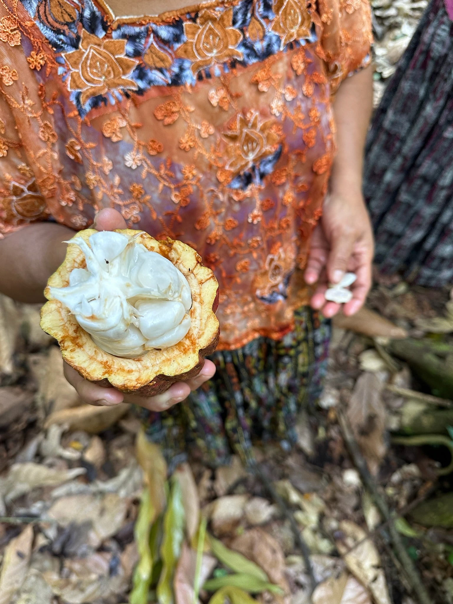 Why Raw Ceremonial Cacao Must Be Clean: Our Independent Lab Results Explained