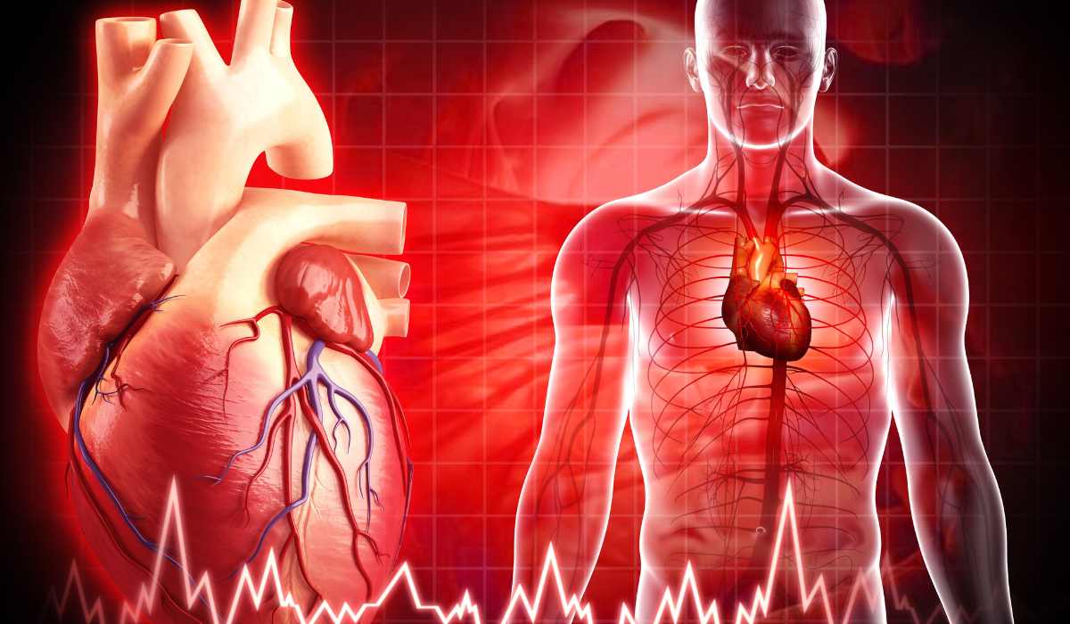 Divine Intelligence Speaks Through the Heart,  Are You Listening?