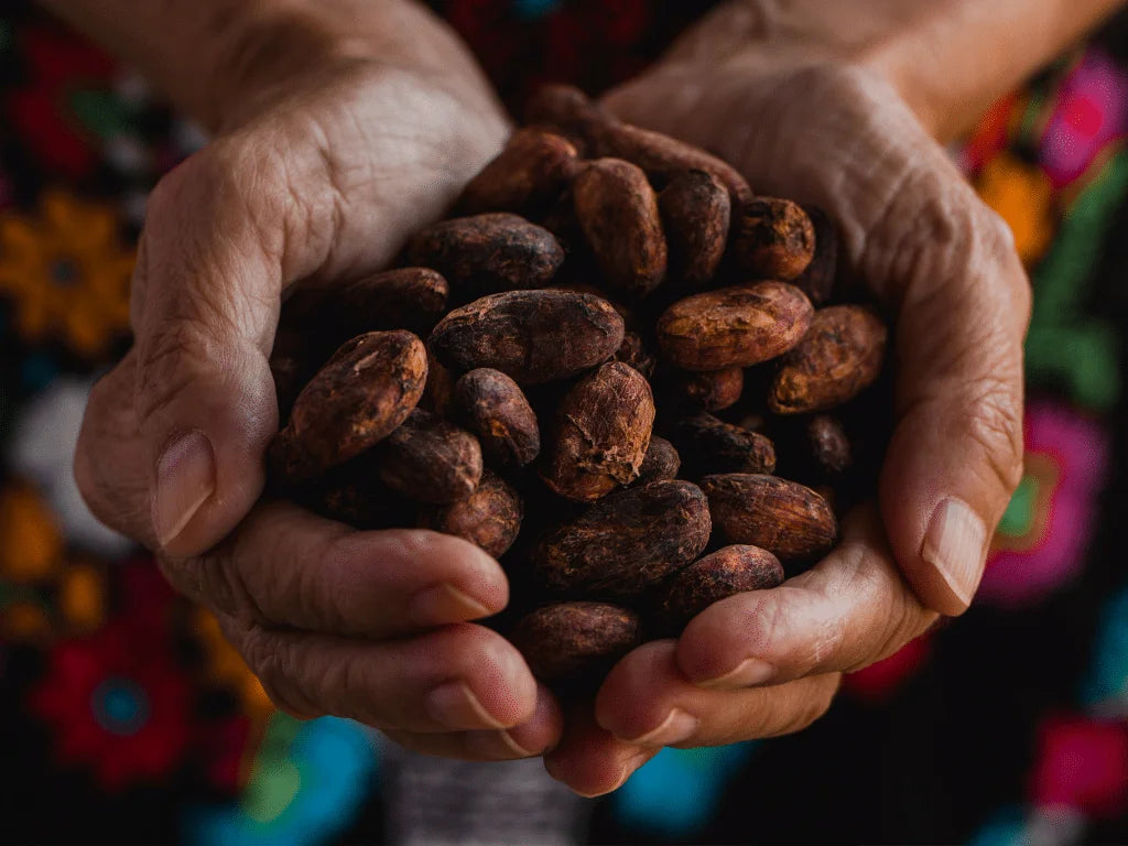 The Truth About Rising Cacao Prices & How We’re Giving Back to Farmers