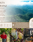 The Cacao Origins Collection