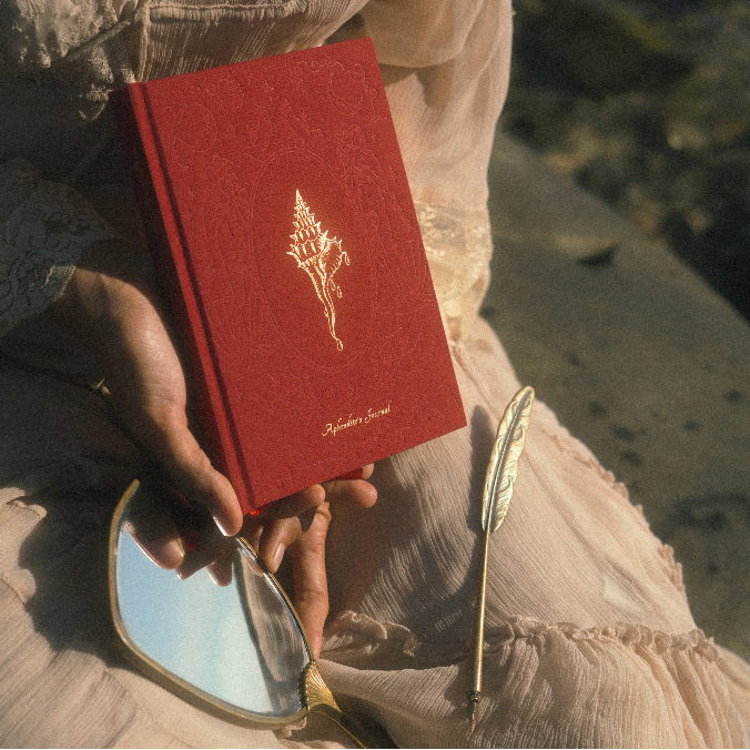 Red journal with gold emblem held by a person on a beach