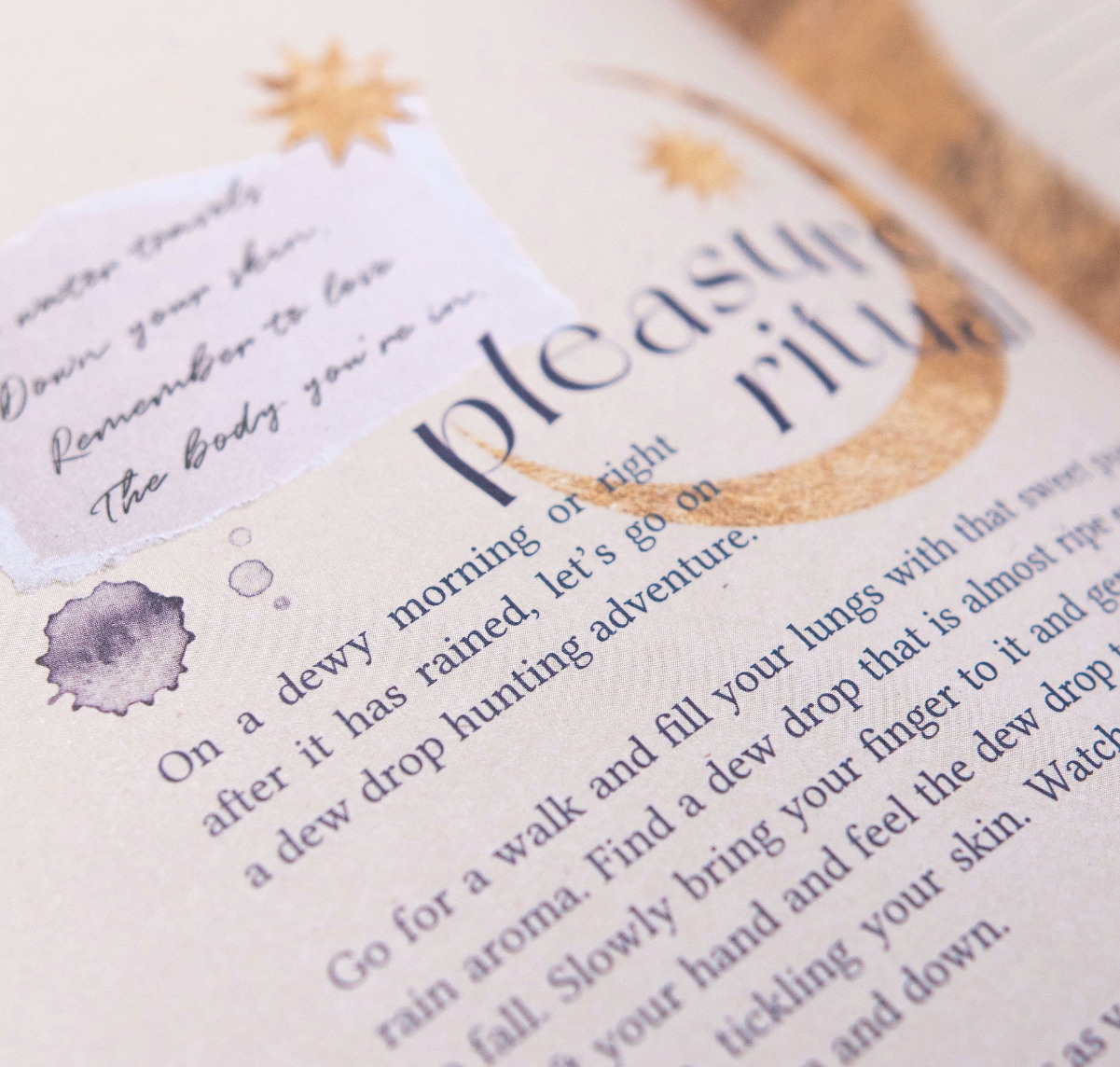Open journal with text and decorative elements on a white background