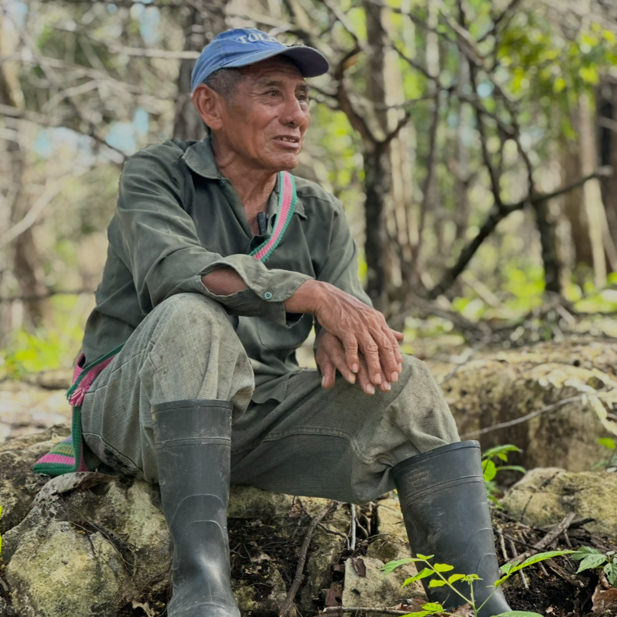 Cacao_Farmer_Maya_Mountain Santiago sitting on a rock in a forest wearing green clothing and rubber boots.