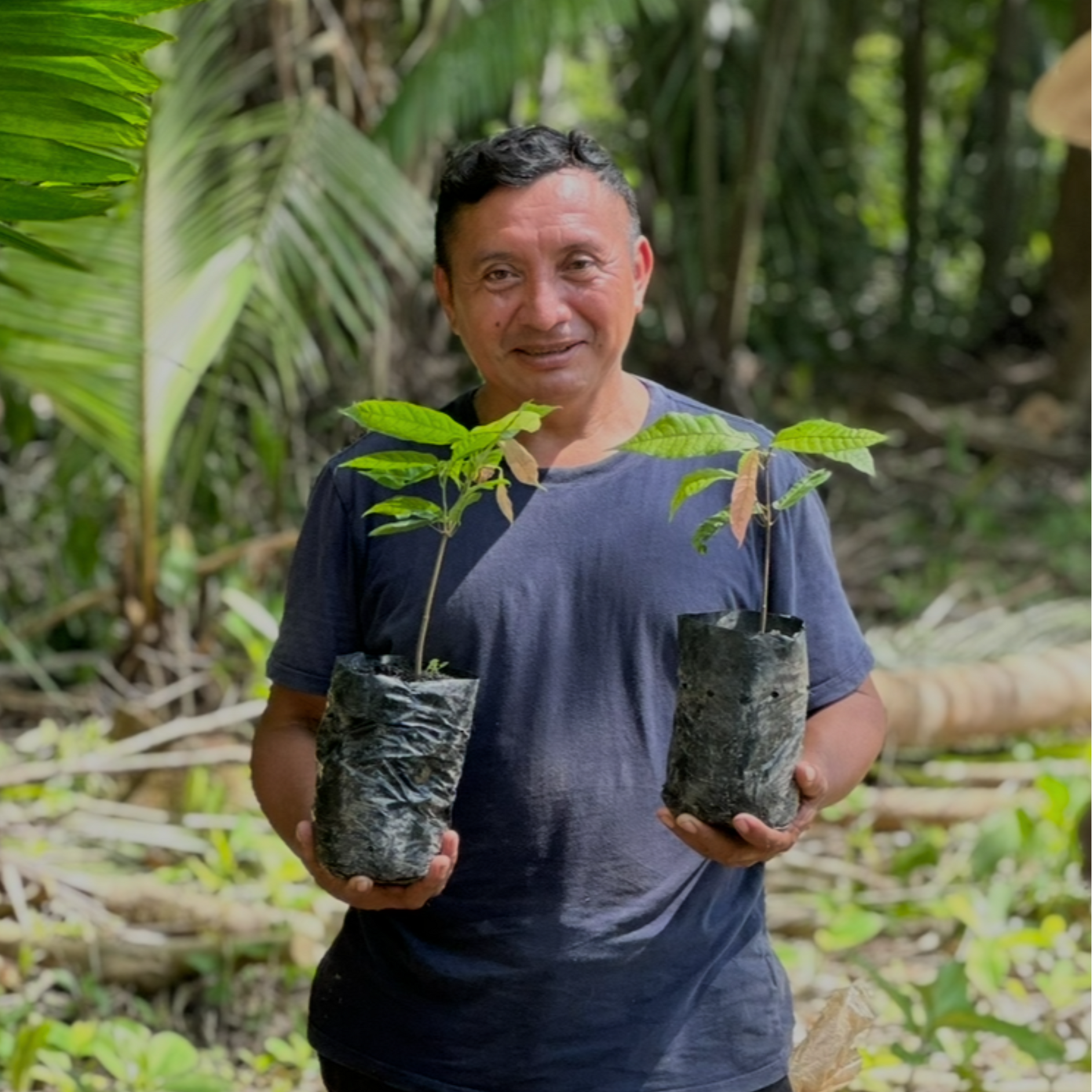 Cacao_Farmer_Maya_Mountain holding two potted plants in a natural setting