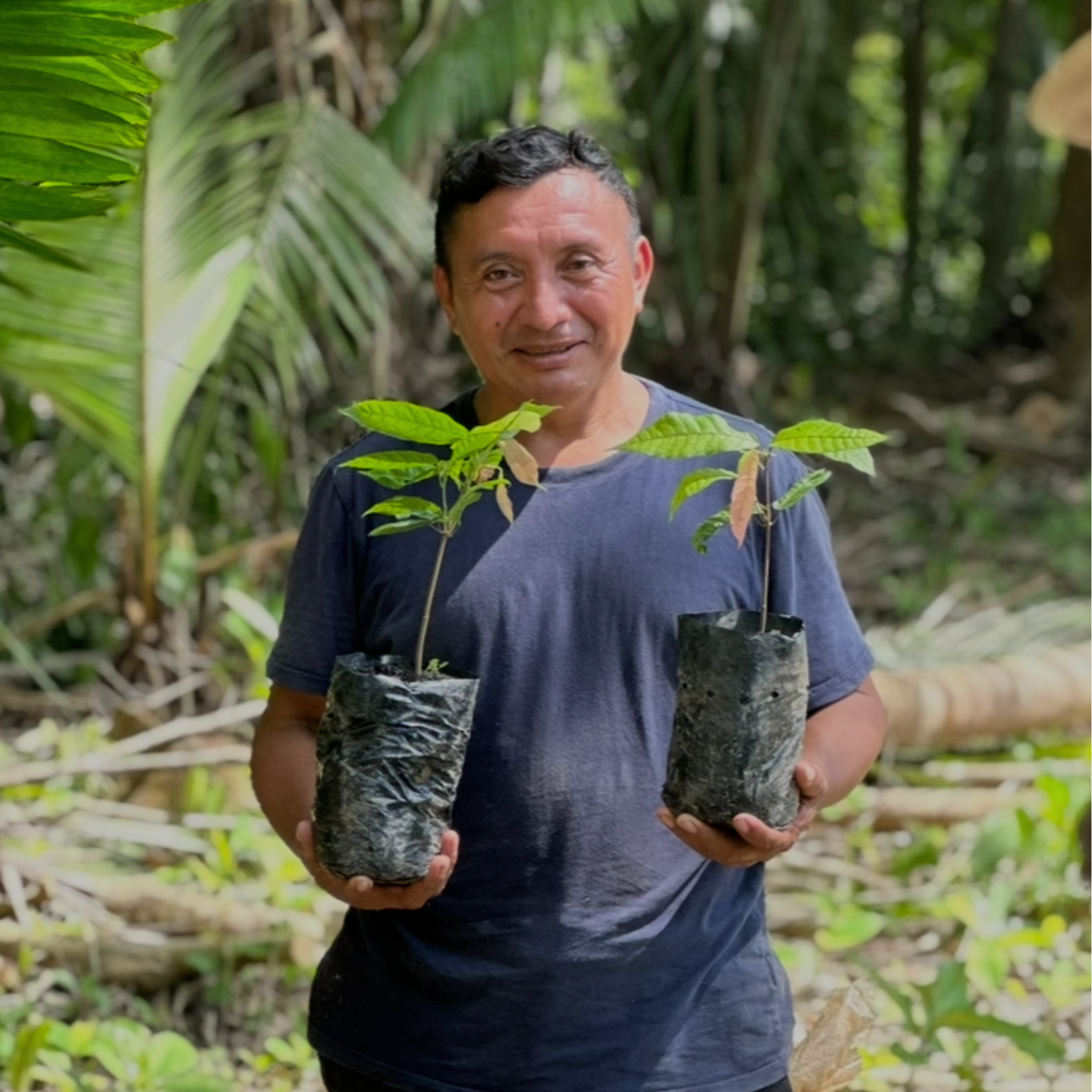 Cacao_Farmer_Maya_Mountain holding two potted plants in a natural setting