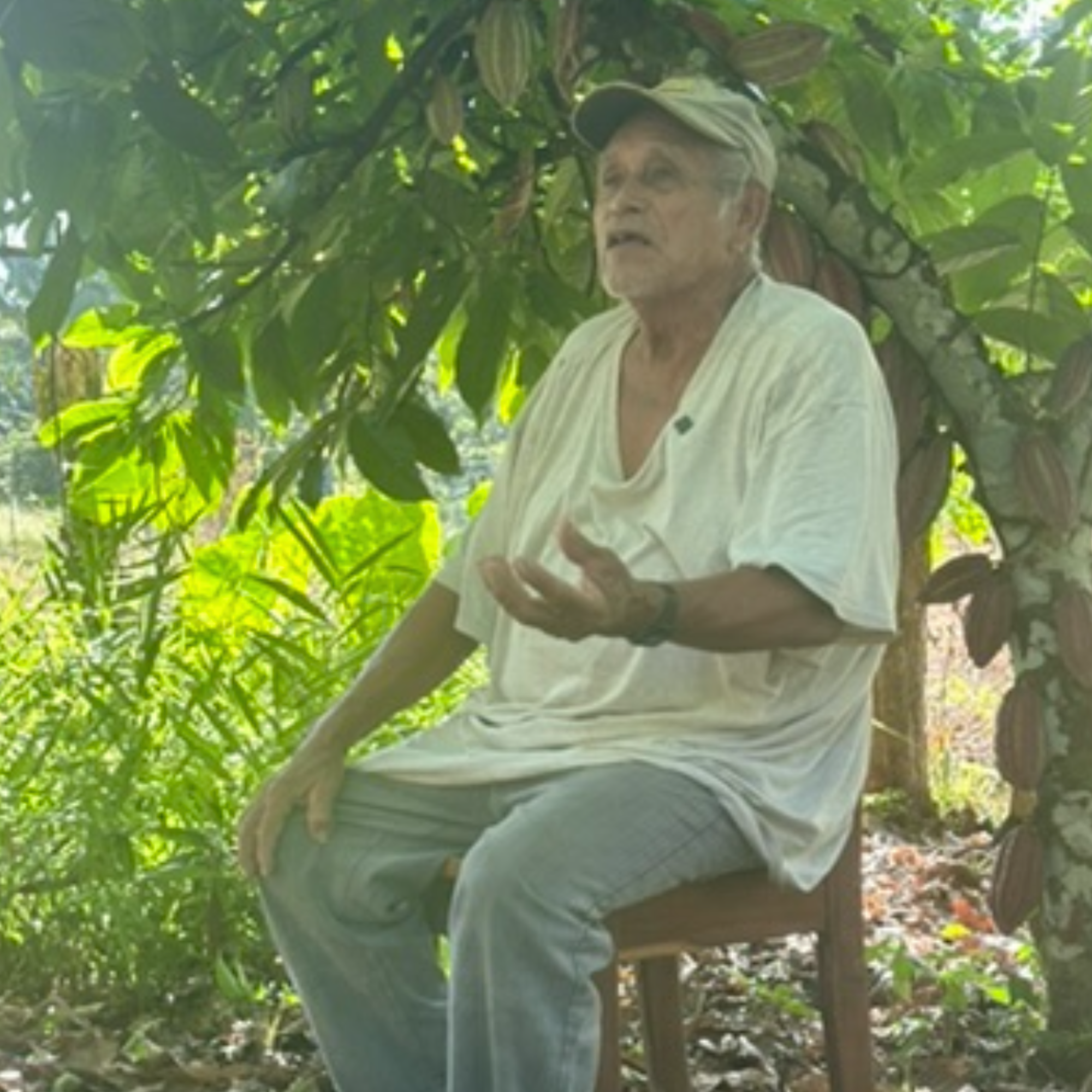 Cacao_Farmer_Maya_Mountain sitting under a tree with greenery around