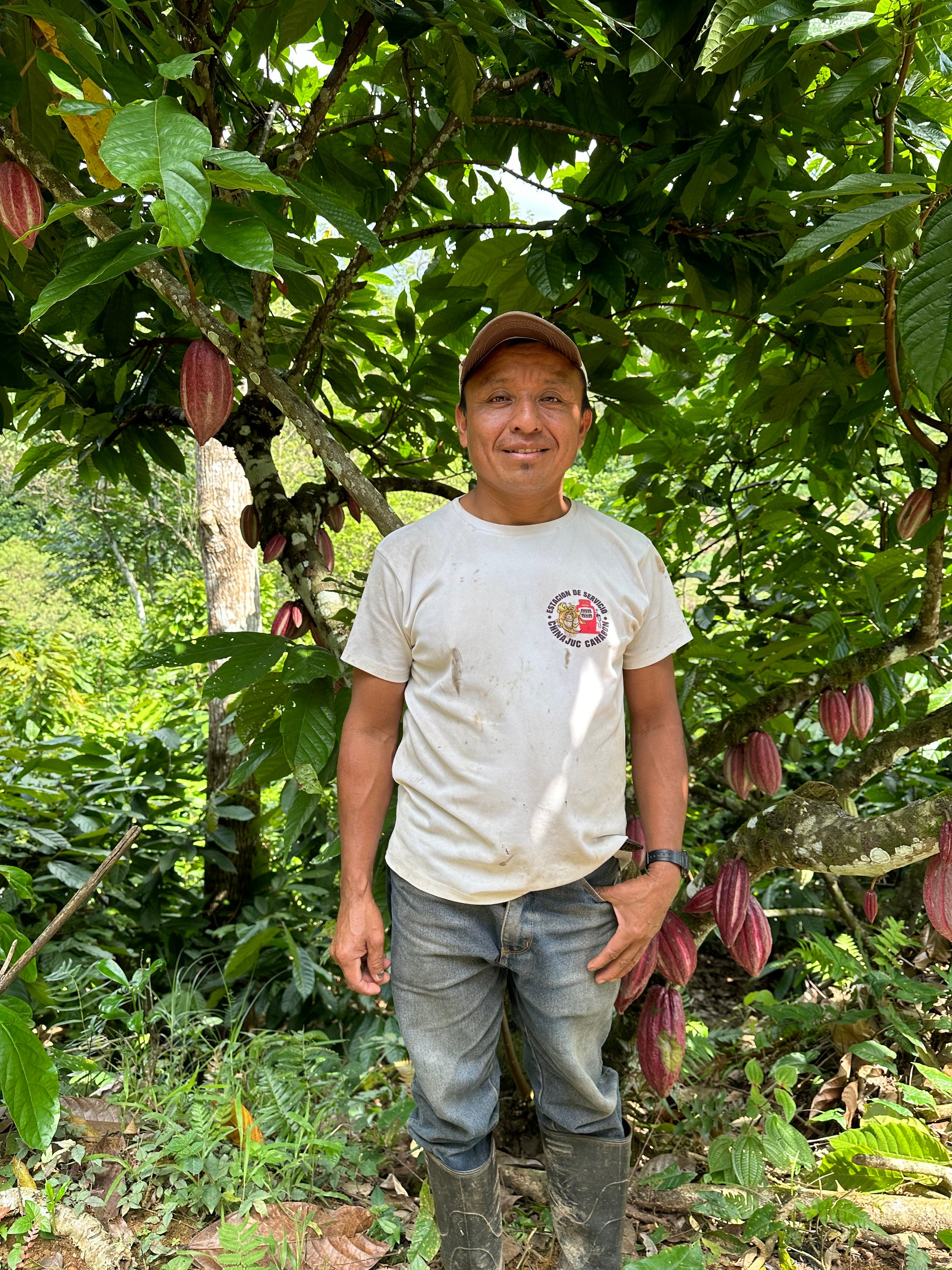 Cacao farmer cacao tree Guatemala