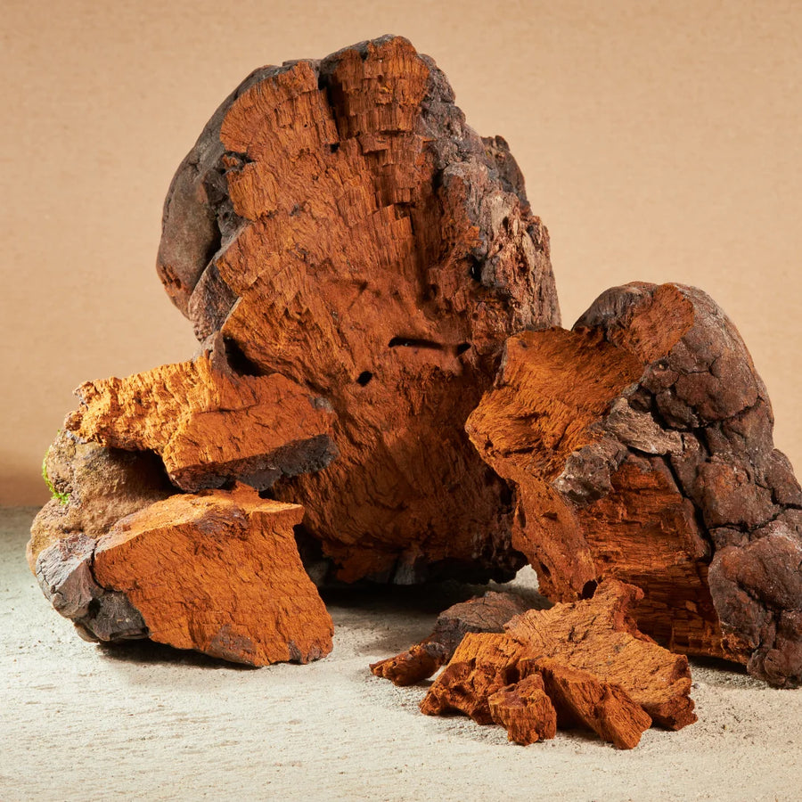 Herbal Cacao organic chaga water extract