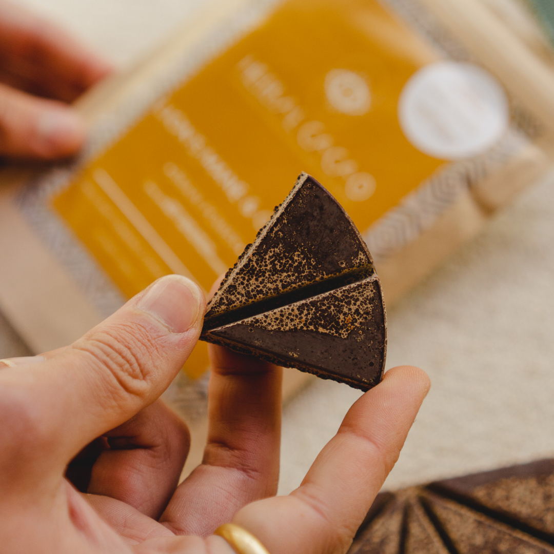 Hand holding a triangular piece of cacao golden focus with a blurred background