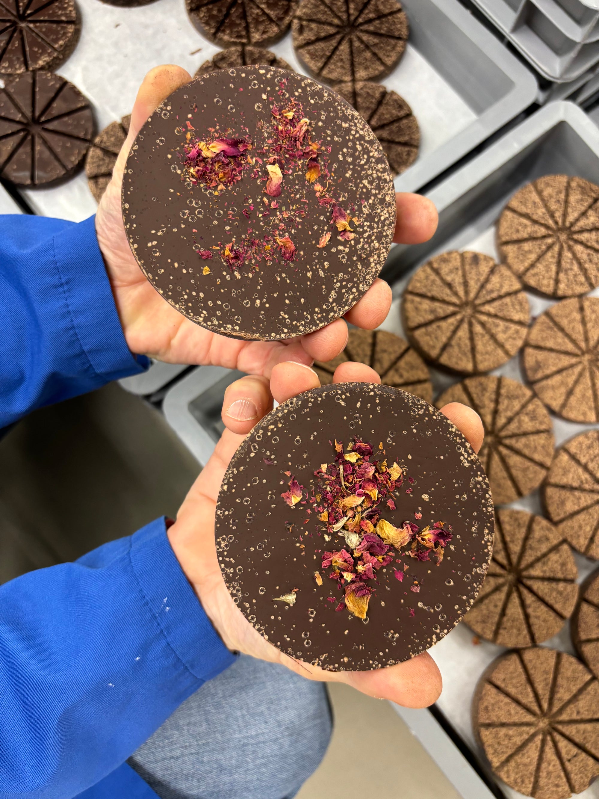 Holding-cacao-pasion-production