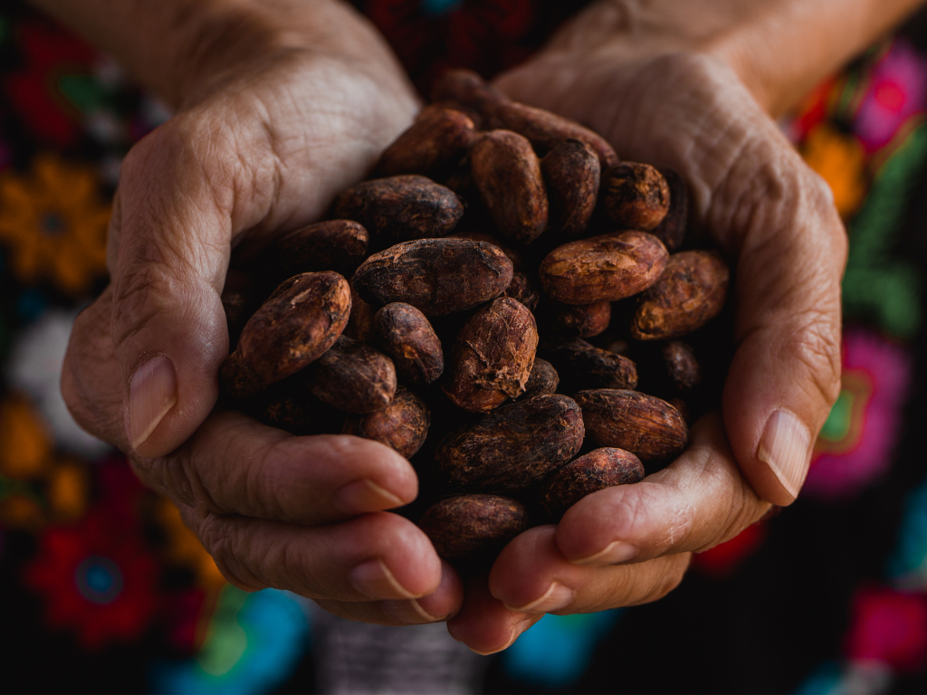 Hands holding a pile of cocoa beans with a colorful background