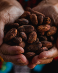 Hands holding a pile of cocoa beans with a colorful background