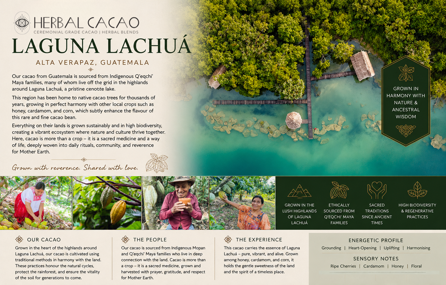 Herbal Cacao infographic of Laguna Lachua, featuring text and images of people and nature.