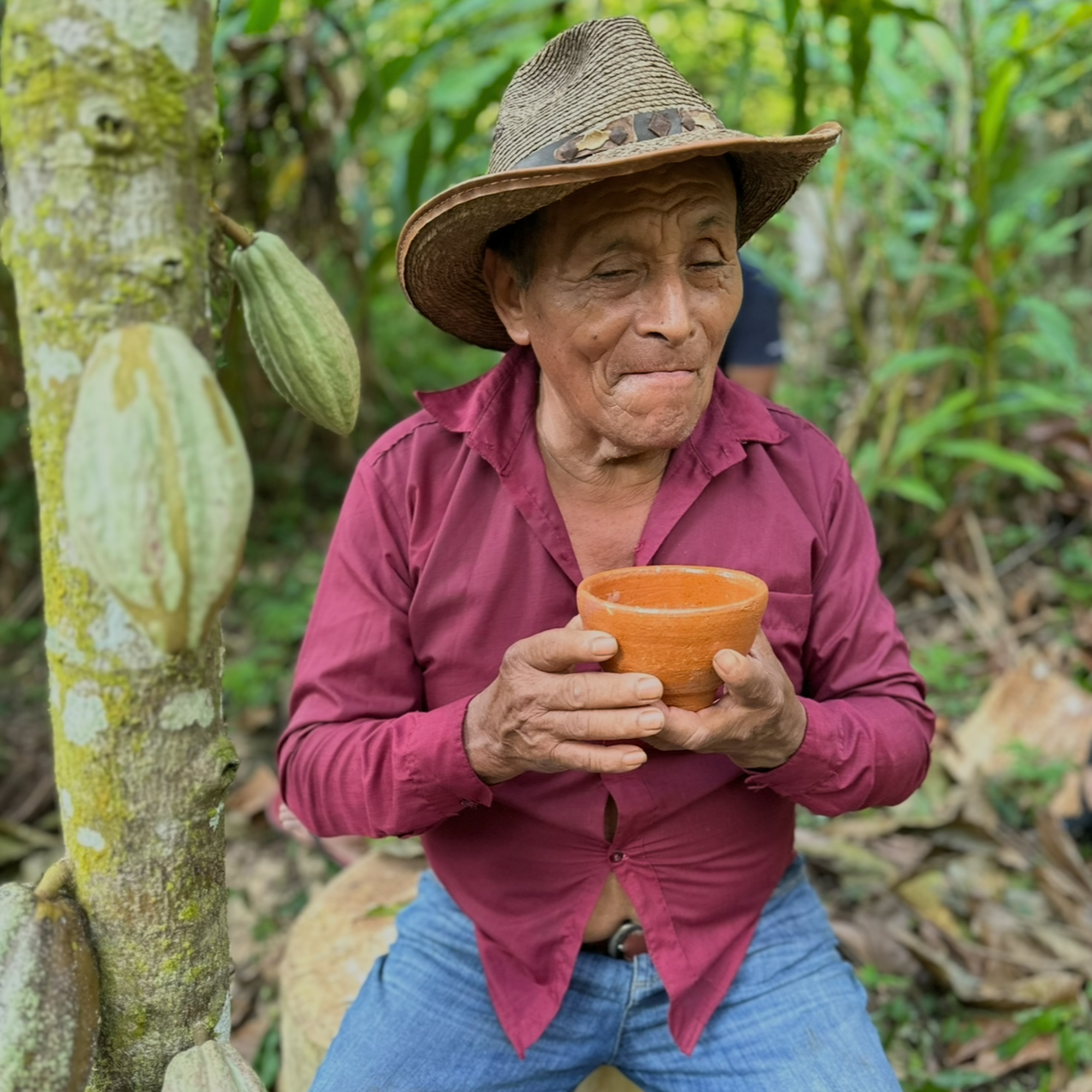 Man in a red shirt and straw hat holding a small bowl in a cacao tree plantation.
