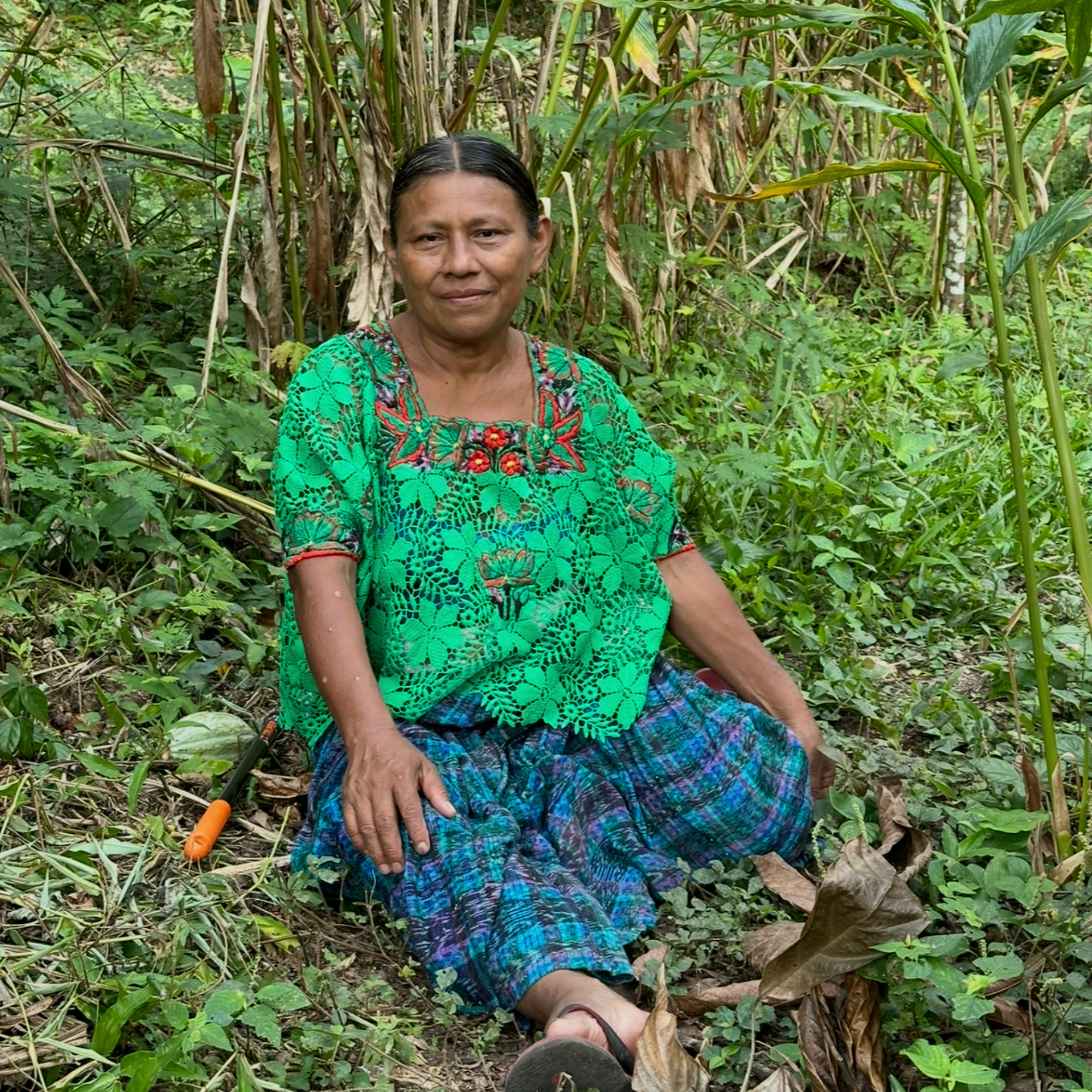 Christina Maya_Cacao_Farmer_Guatemala in a green and blue patterned outfit sitting in a lush green forest.