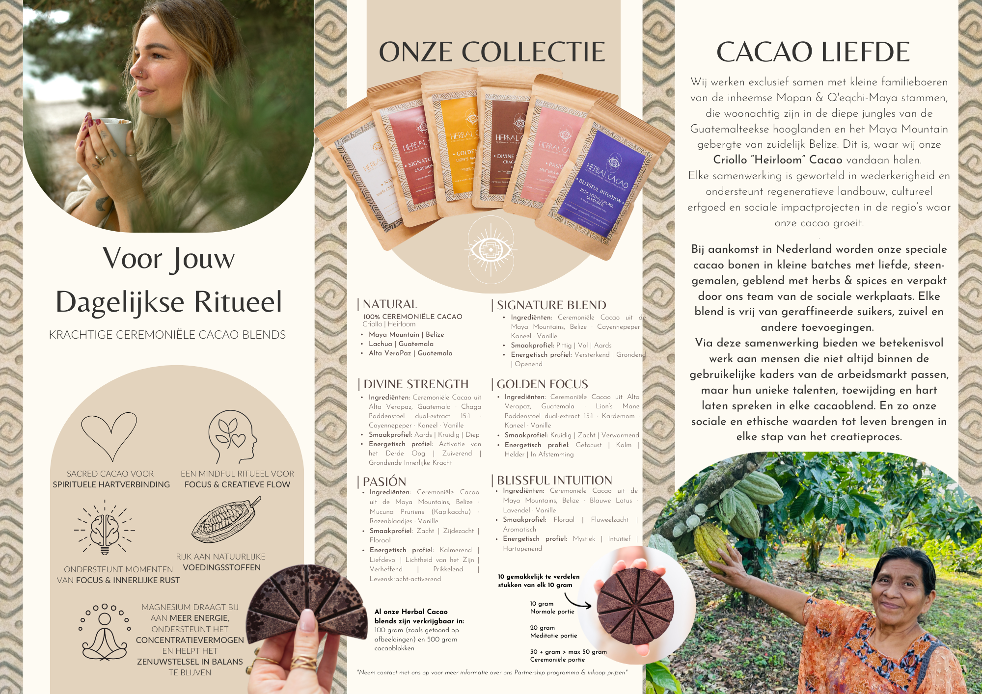 Herbal Cacao Brochure (50x)
