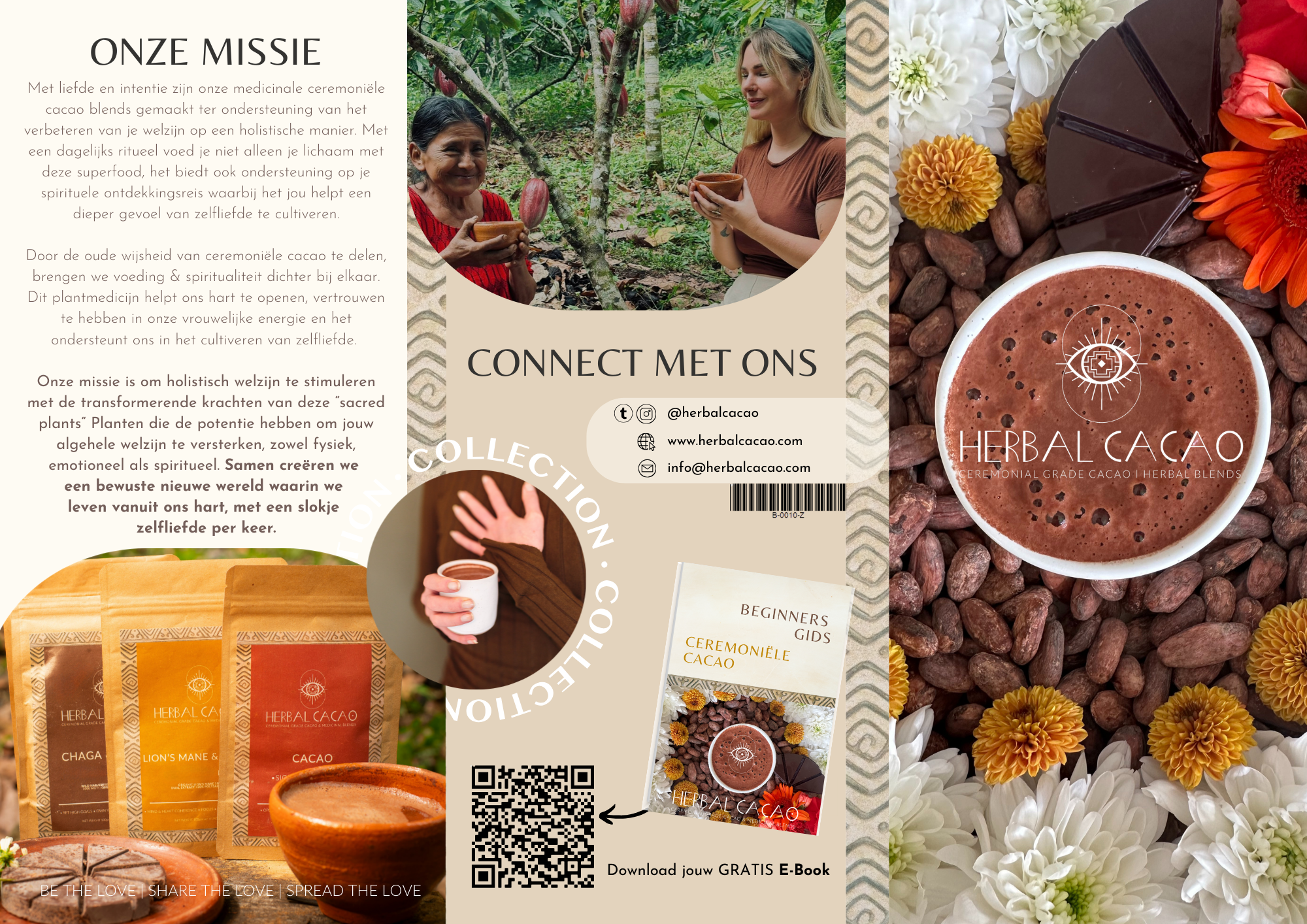 Herbal Cacao Brochure (50x)