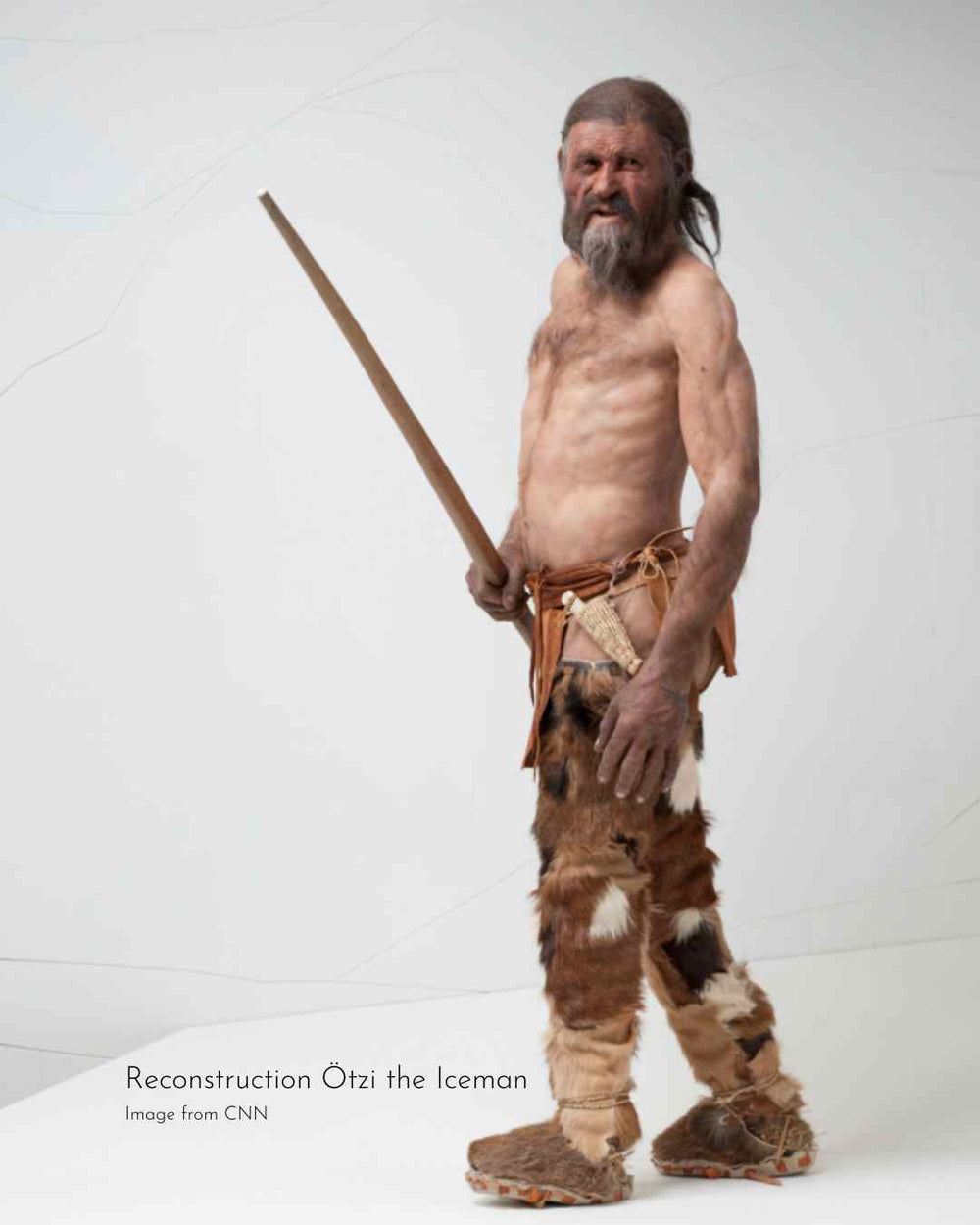 Reconstruction of Ötzi the Iceman, who carried fungal material 5,300 years ago