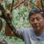 maya cacao farmer holding a cacao tree