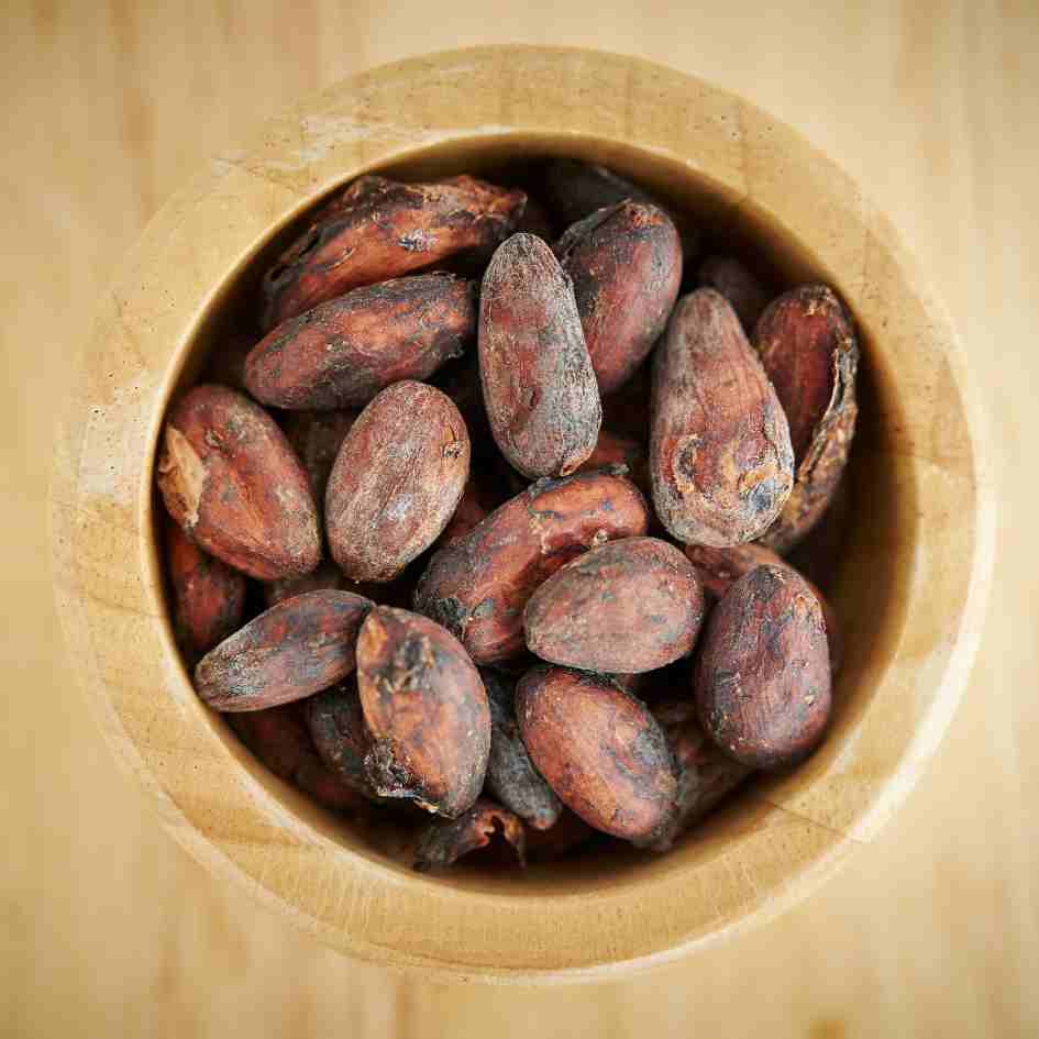 cacao_seeds