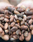 Ceremonial Cacao SEEDS