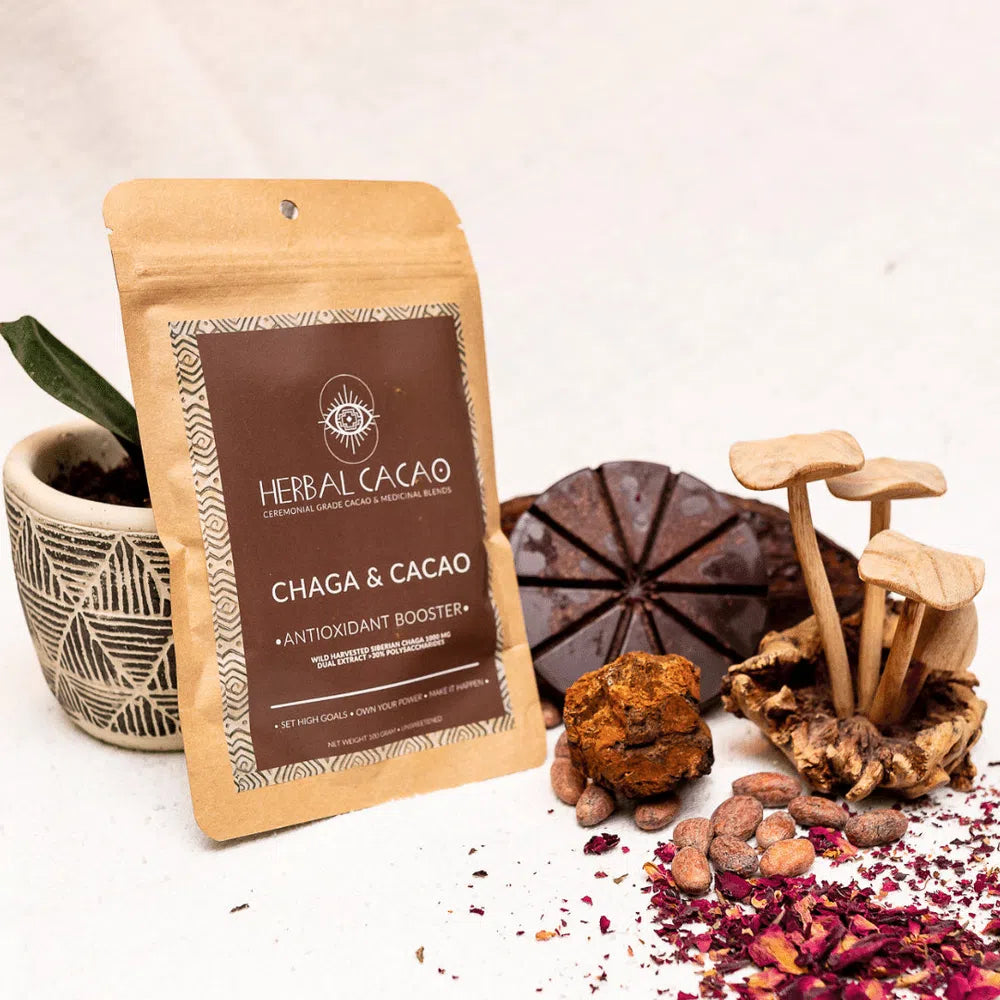 Chaga cacao antioxidant booster