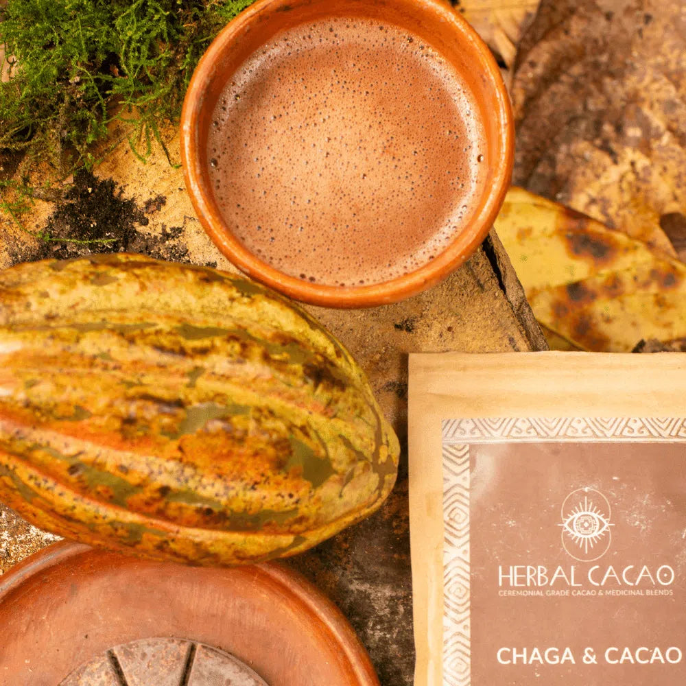 Chaga & Cacao drink