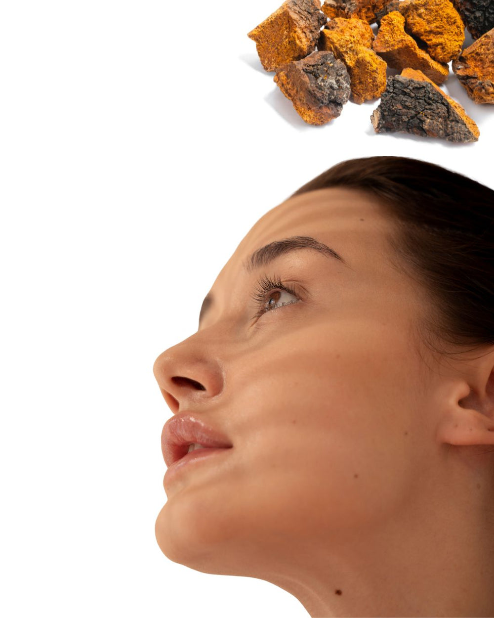 Chaga, traditionally valued for its antioxidant-rich compounds