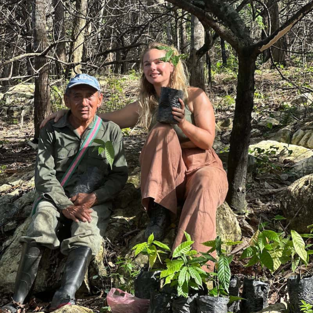 Two people sitting in a burned down cacao forest, with baby cacao tree