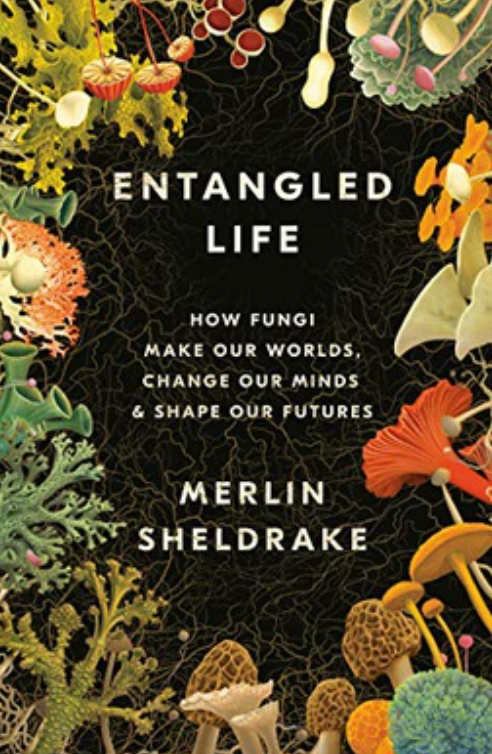 entangled-life book
