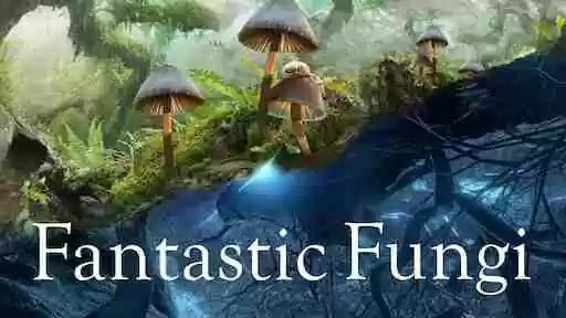 Fantastic Fungi documentary