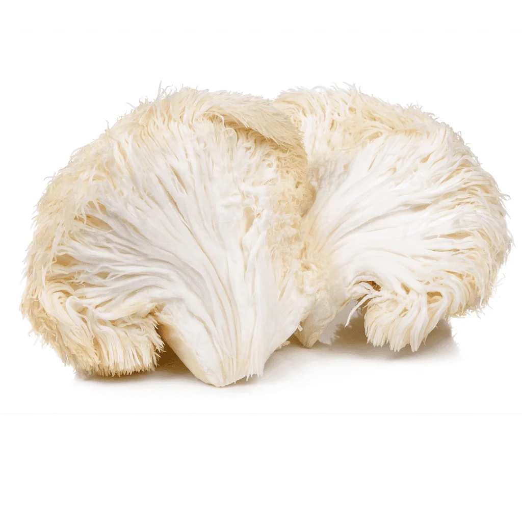 Lion's Mane mushroom key benefits: boosts immune health, reduces depression/anxiety, combats dementia, aids Parkinson's, lowers cholesterol, reduces inflammation, and supports digestive health.