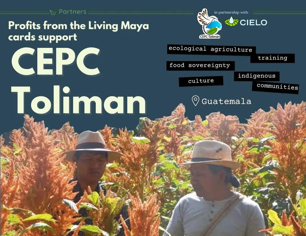 Supporting CEPC Toliman