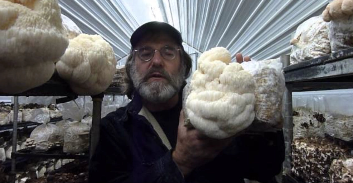 paul-staments-lionsmane research
