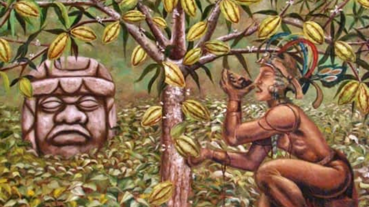 Publicación de blog cacao alimento de los dioses