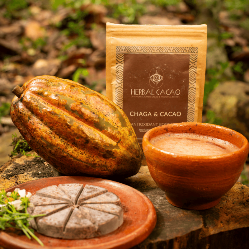 "Ondersteuning van het immuunsysteem" Herbal Cacao & Chaga