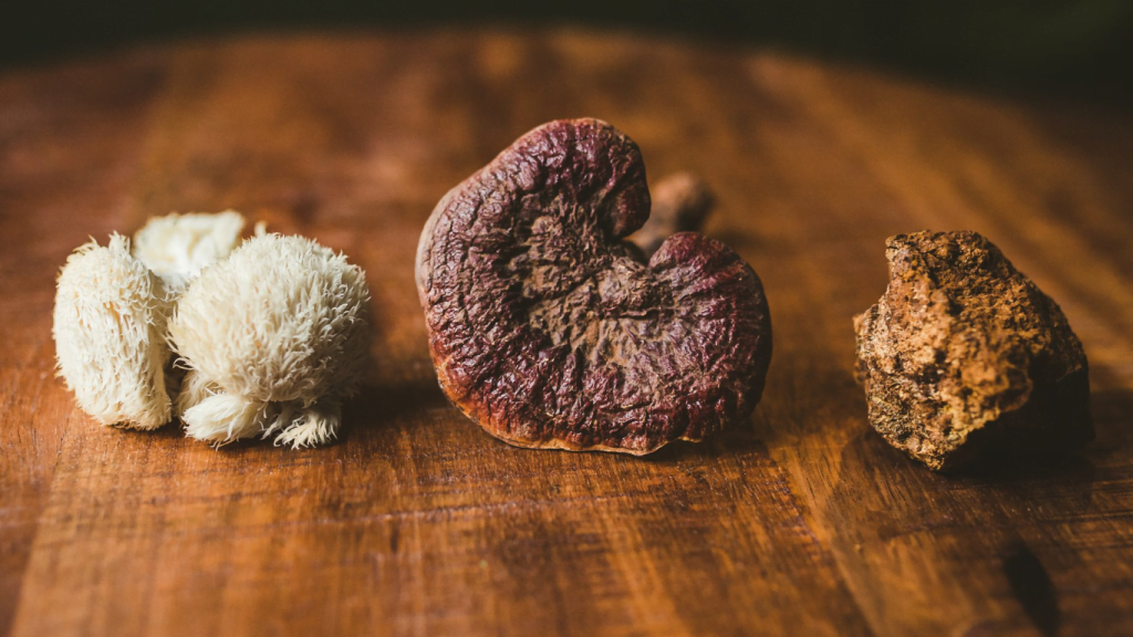 THE DIFFERENCE BETWEEN MEDICINAL & PSYCHEDELIC MUSHROOMS