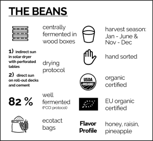 Maya cacao beans
