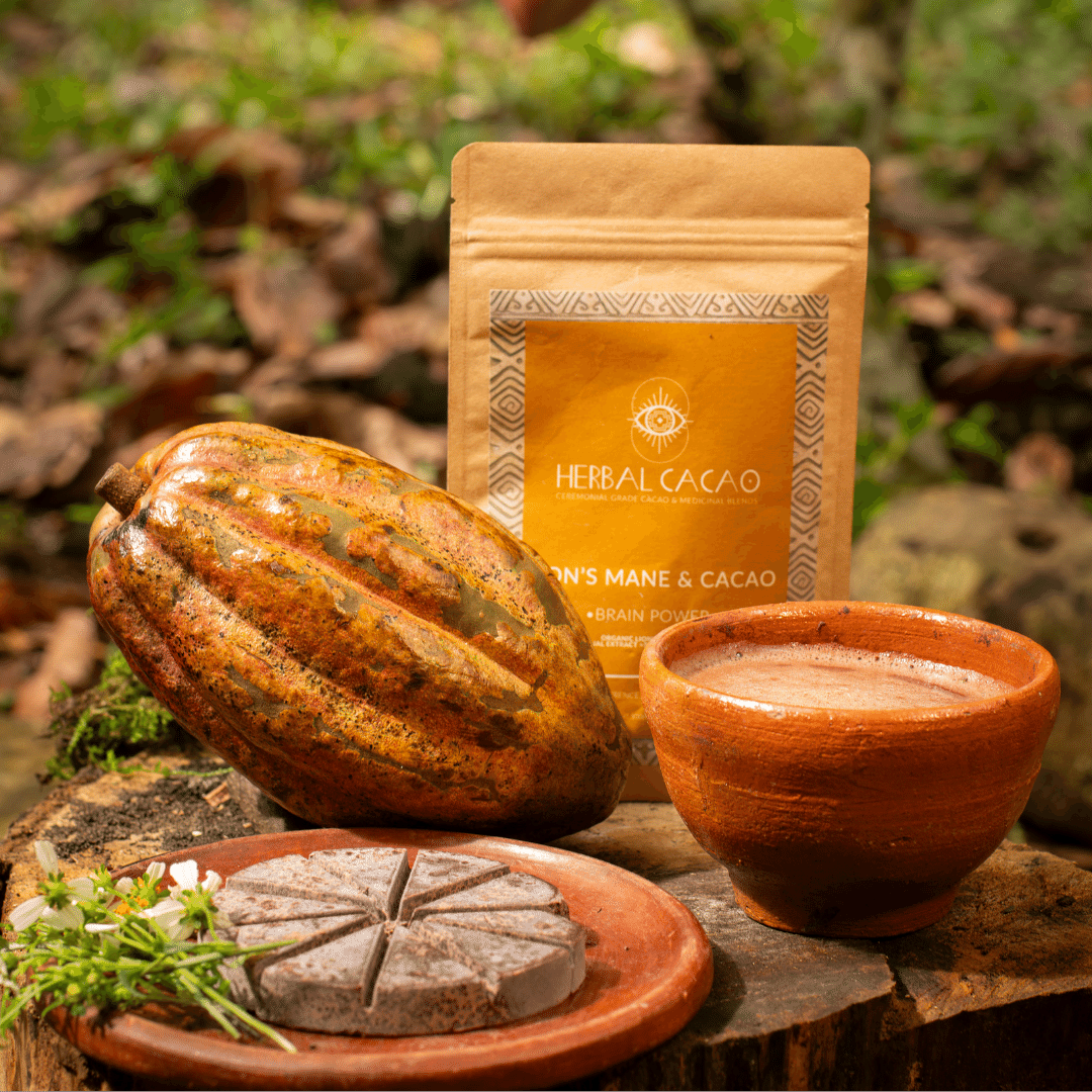 Brain Power, Lion's Mane & Ceremonial Cacao